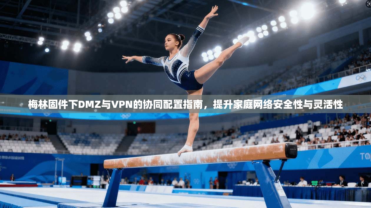 梅林固件下DMZ与VPN的协同配置指南，提升家庭网络安全性与灵活性