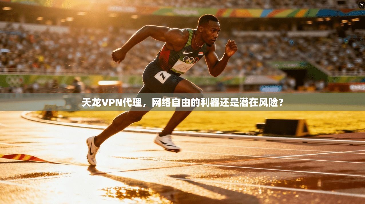 天龙VPN代理，网络自由的利器还是潜在风险？