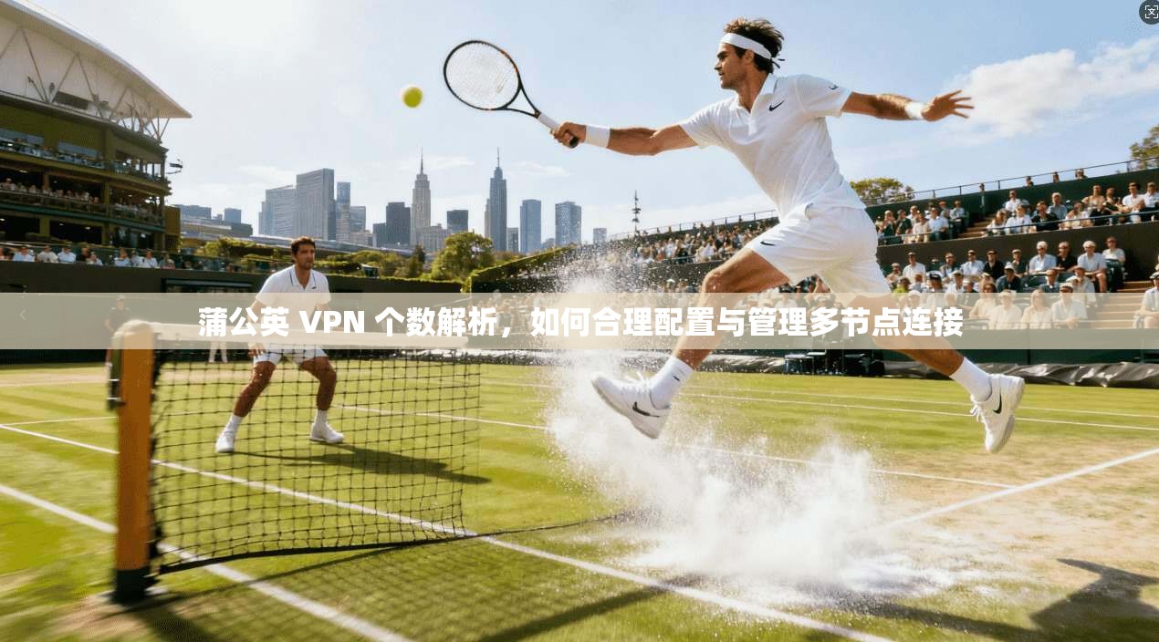 蒲公英 VPN 个数解析，如何合理配置与管理多节点连接