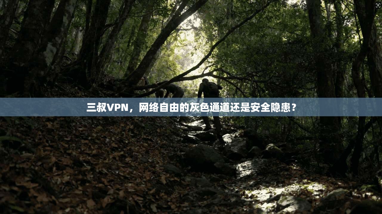 三叔VPN，网络自由的灰色通道还是安全隐患？