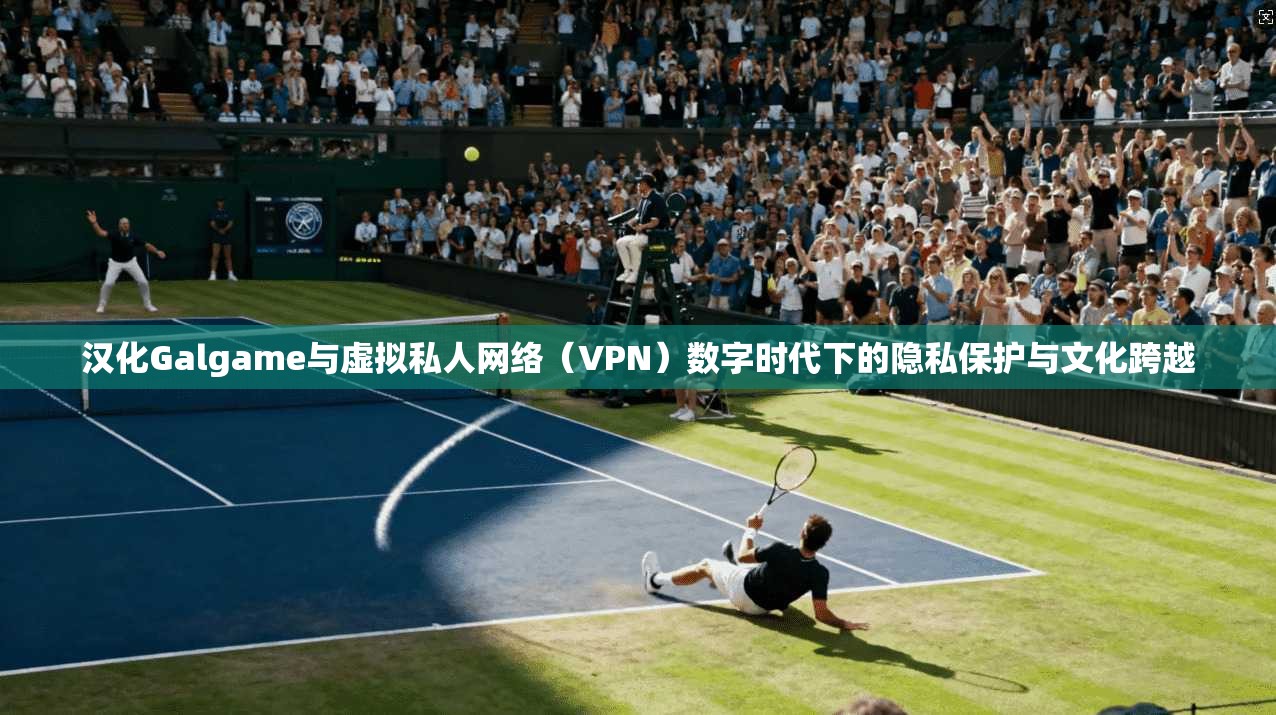 汉化Galgame与虚拟私人网络（VPN）数字时代下的隐私保护与文化跨越