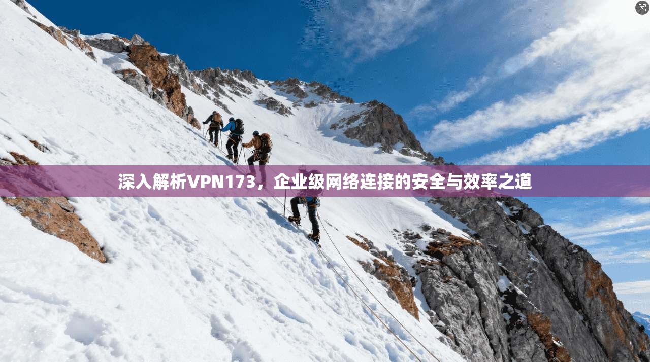 深入解析VPN173，企业级网络连接的安全与效率之道