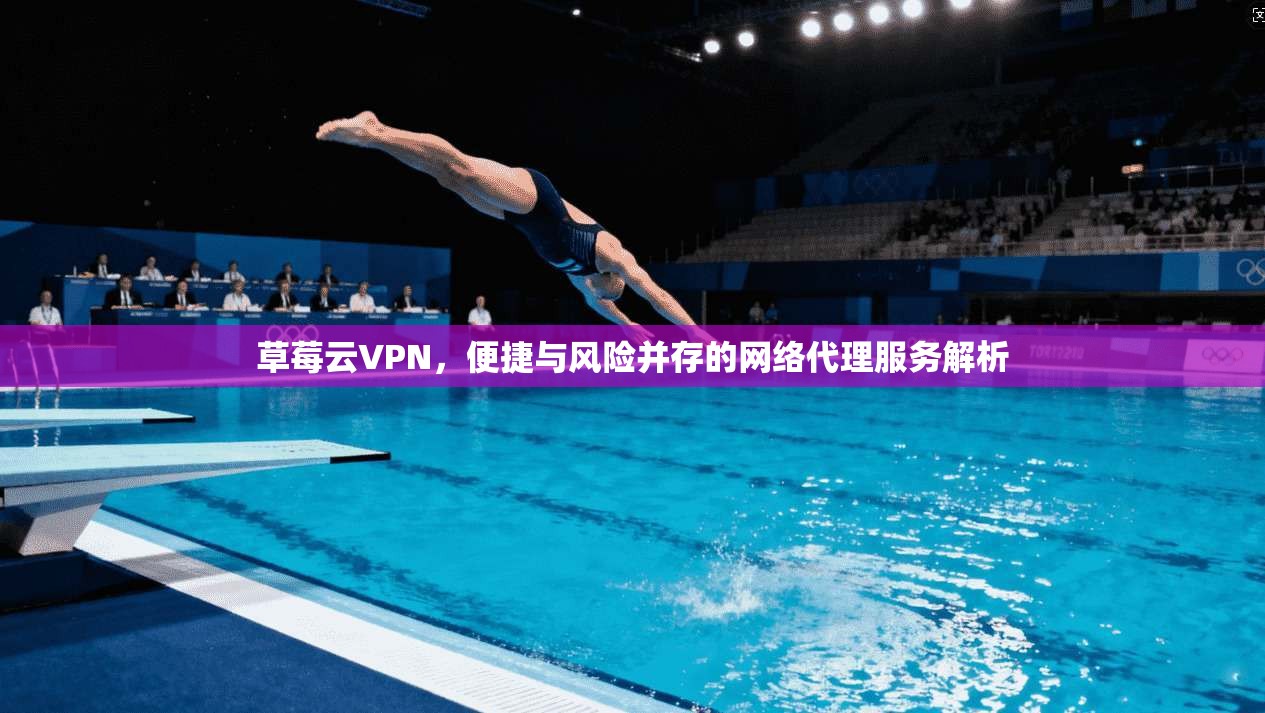 草莓云VPN，便捷与风险并存的网络代理服务解析