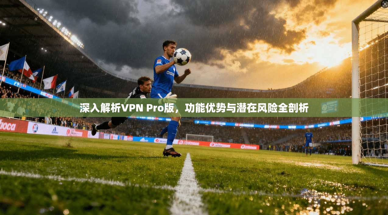 深入解析VPN Pro版，功能优势与潜在风险全剖析