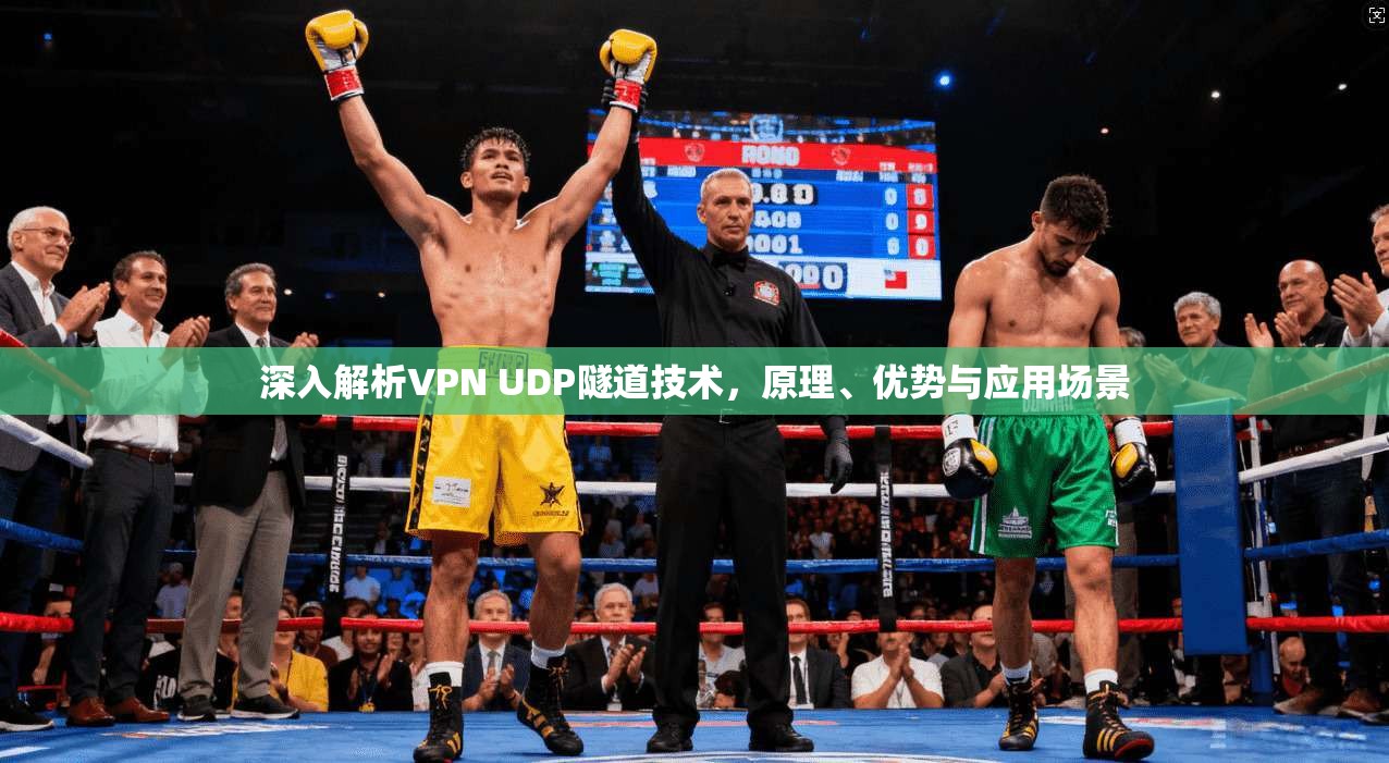 深入解析VPN UDP隧道技术，原理、优势与应用场景