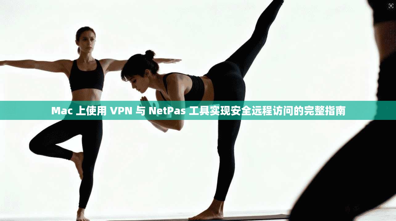Mac 上使用 VPN 与 NetPas 工具实现安全远程访问的完整指南