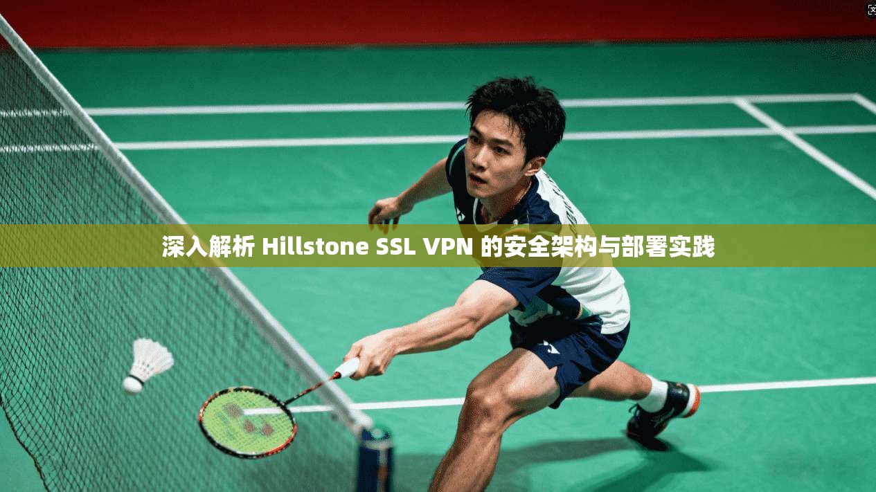 深入解析 Hillstone SSL VPN 的安全架构与部署实践