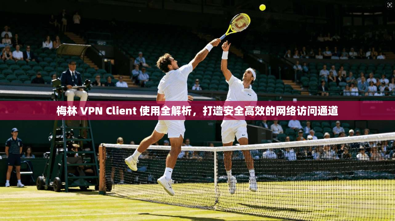 梅林 VPN Client 使用全解析，打造安全高效的网络访问通道