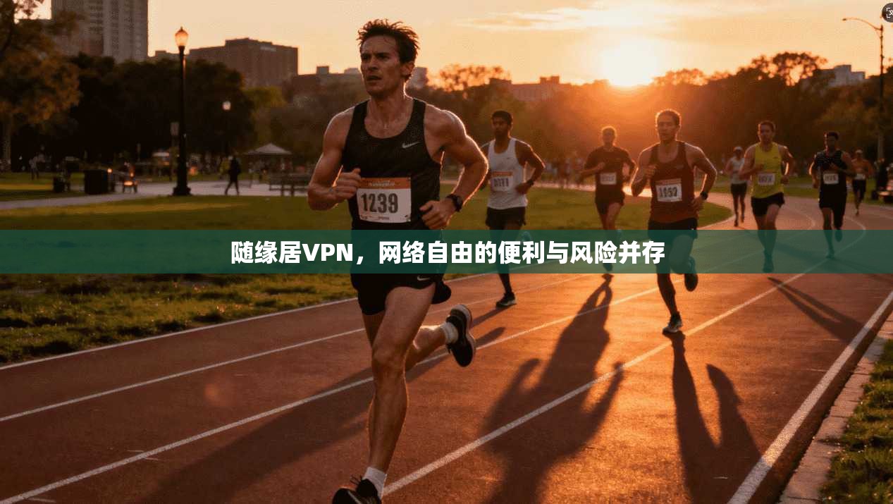 随缘居VPN，网络自由的便利与风险并存