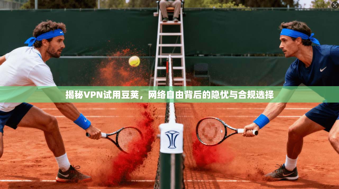 揭秘VPN试用豆荚，网络自由背后的隐忧与合规选择