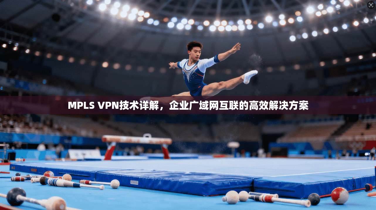 MPLS VPN技术详解，企业广域网互联的高效解决方案