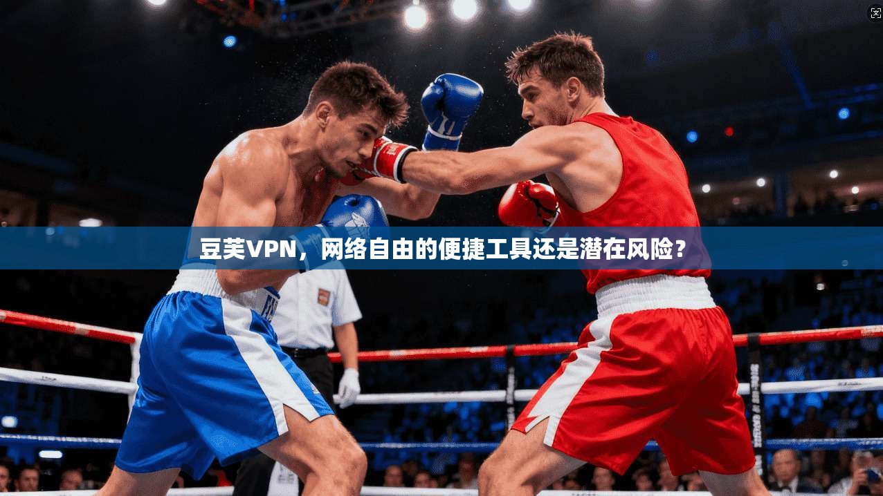 豆芙VPN，网络自由的便捷工具还是潜在风险？