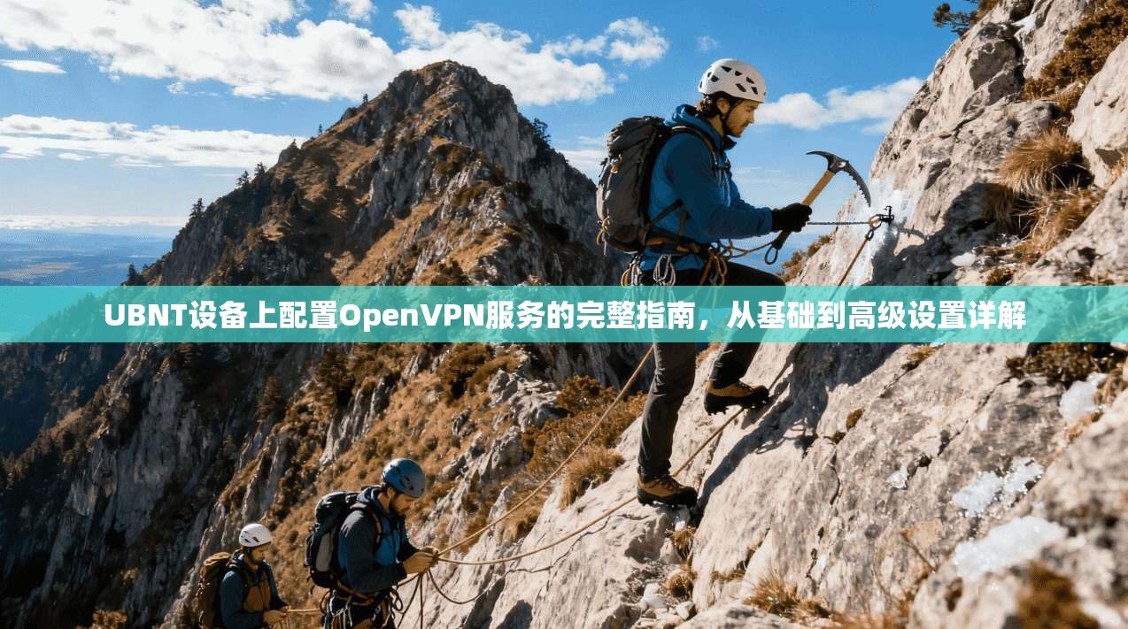 UBNT设备上配置OpenVPN服务的完整指南，从基础到高级设置详解