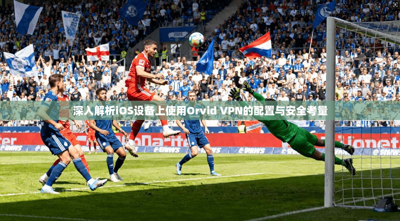深入解析iOS设备上使用Orvid VPN的配置与安全考量