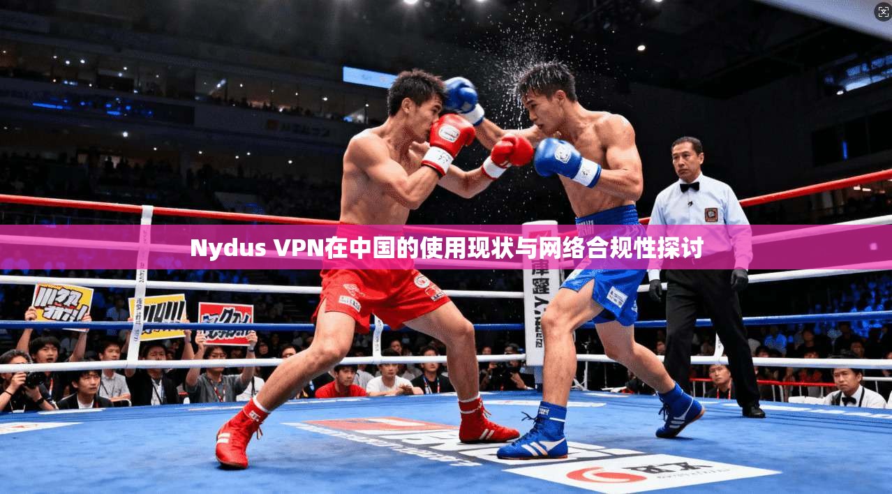 Nydus VPN在中国的使用现状与网络合规性探讨