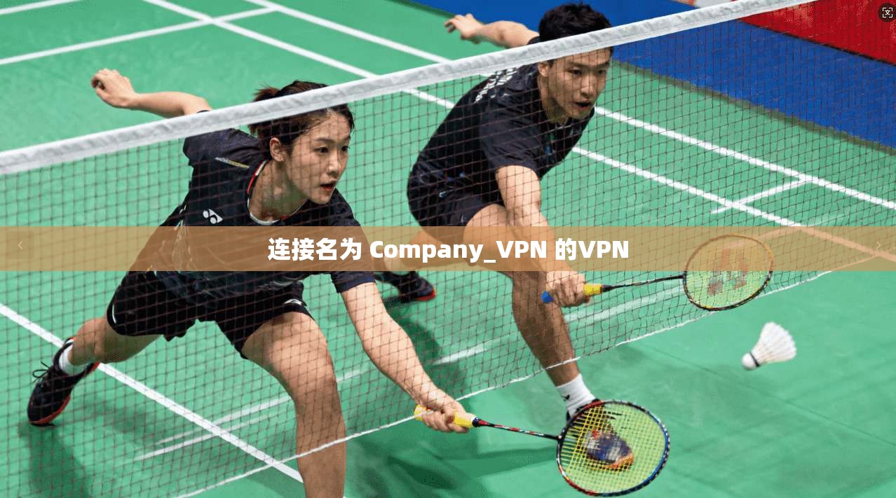 连接名为 Company_VPN 的VPN