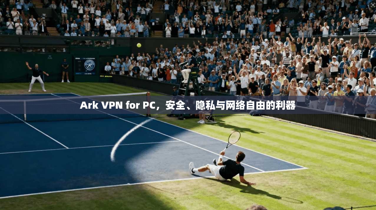 Ark VPN for PC，安全、隐私与网络自由的利器