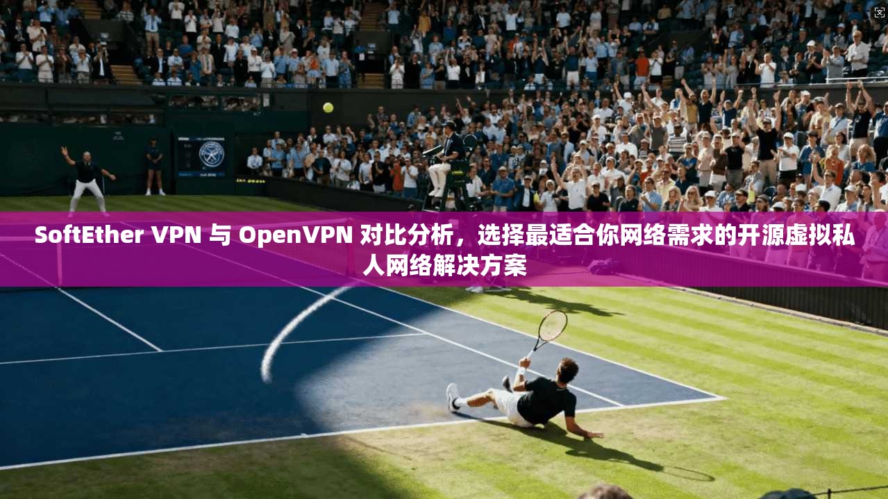 SoftEther VPN 与 OpenVPN 对比分析，选择最适合你网络需求的开源虚拟私人网络解决方案
