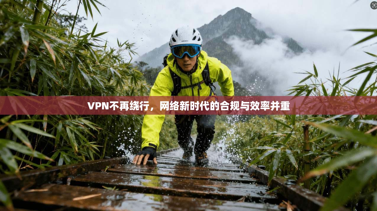 VPN不再绕行，网络新时代的合规与效率并重