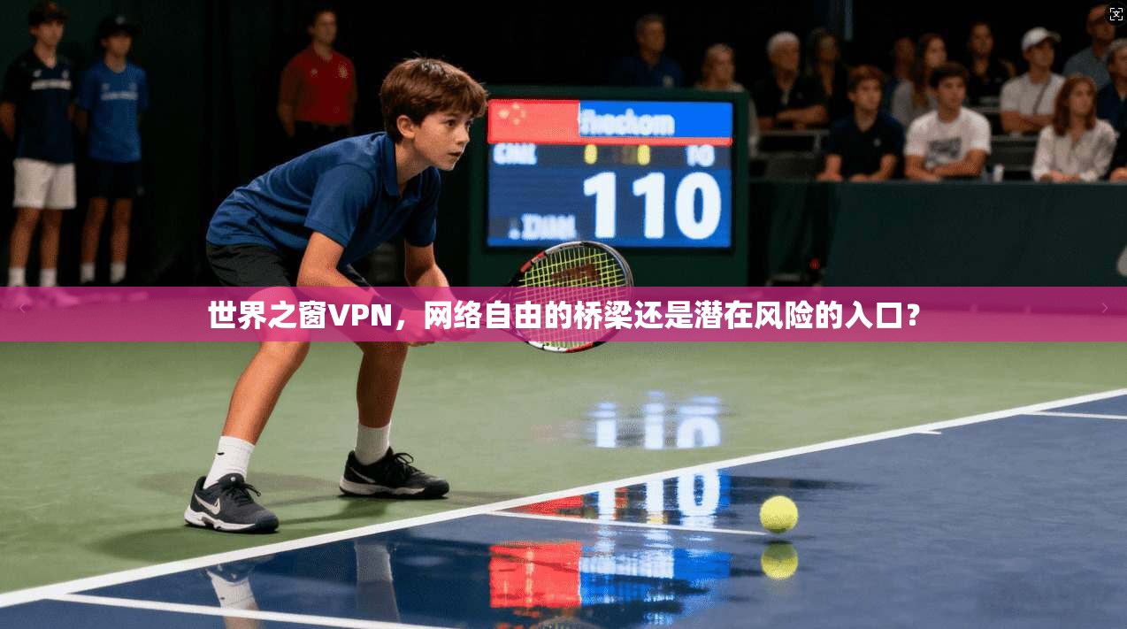 世界之窗VPN，网络自由的桥梁还是潜在风险的入口？