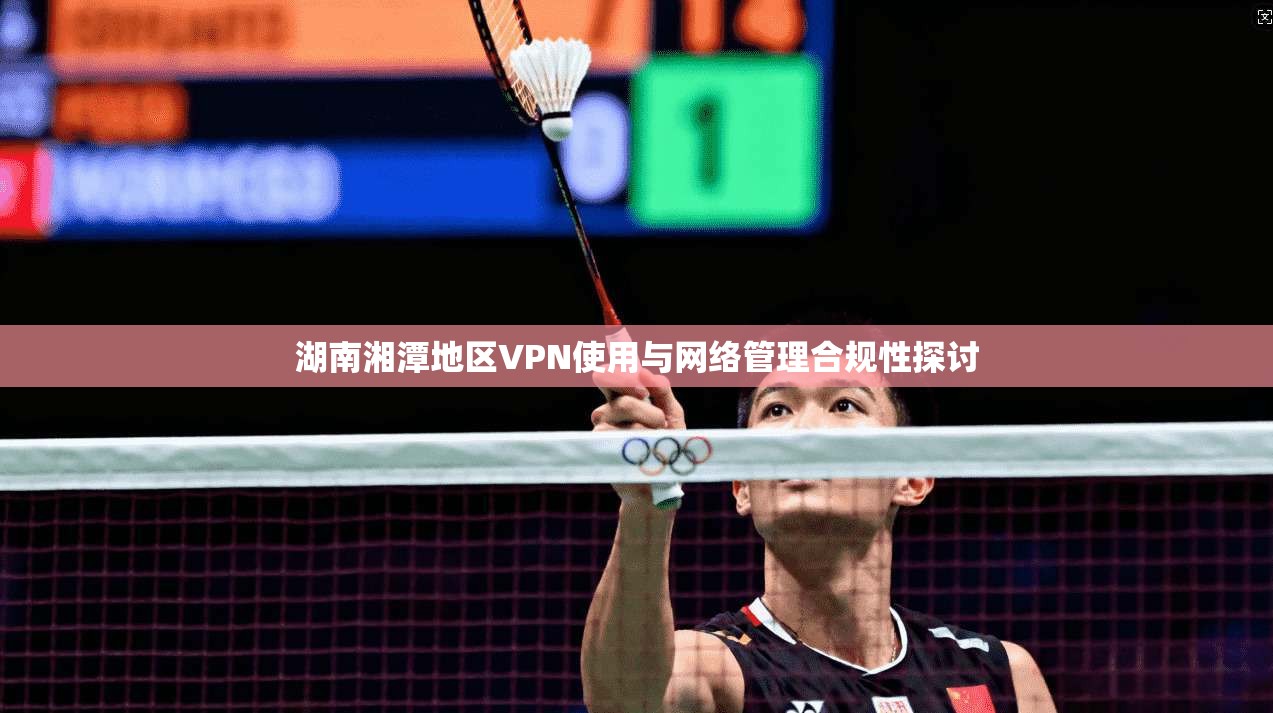 湖南湘潭地区VPN使用与网络管理合规性探讨