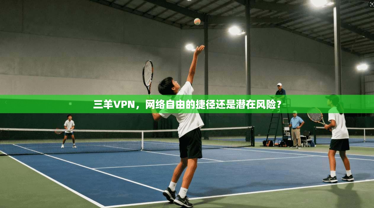 三羊VPN，网络自由的捷径还是潜在风险？