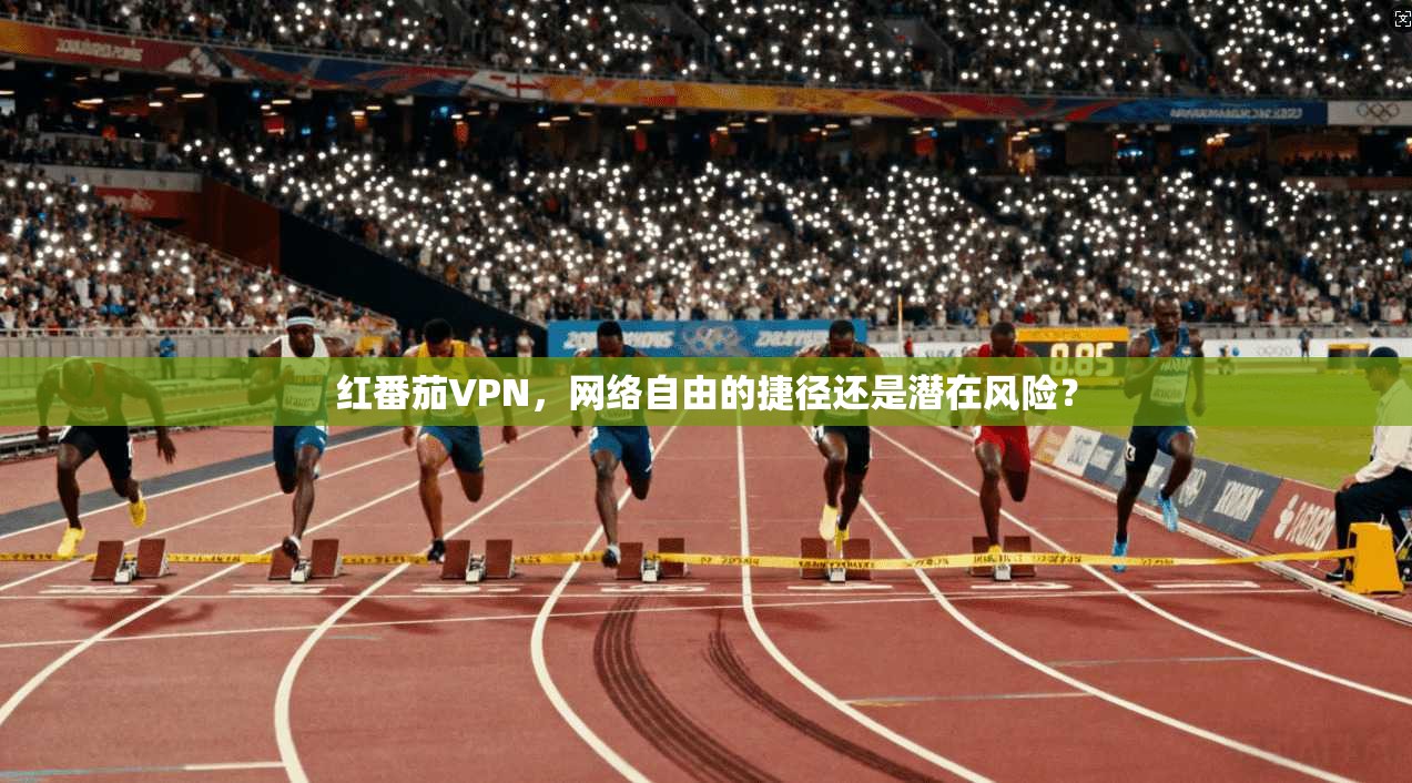 红番茄VPN，网络自由的捷径还是潜在风险？