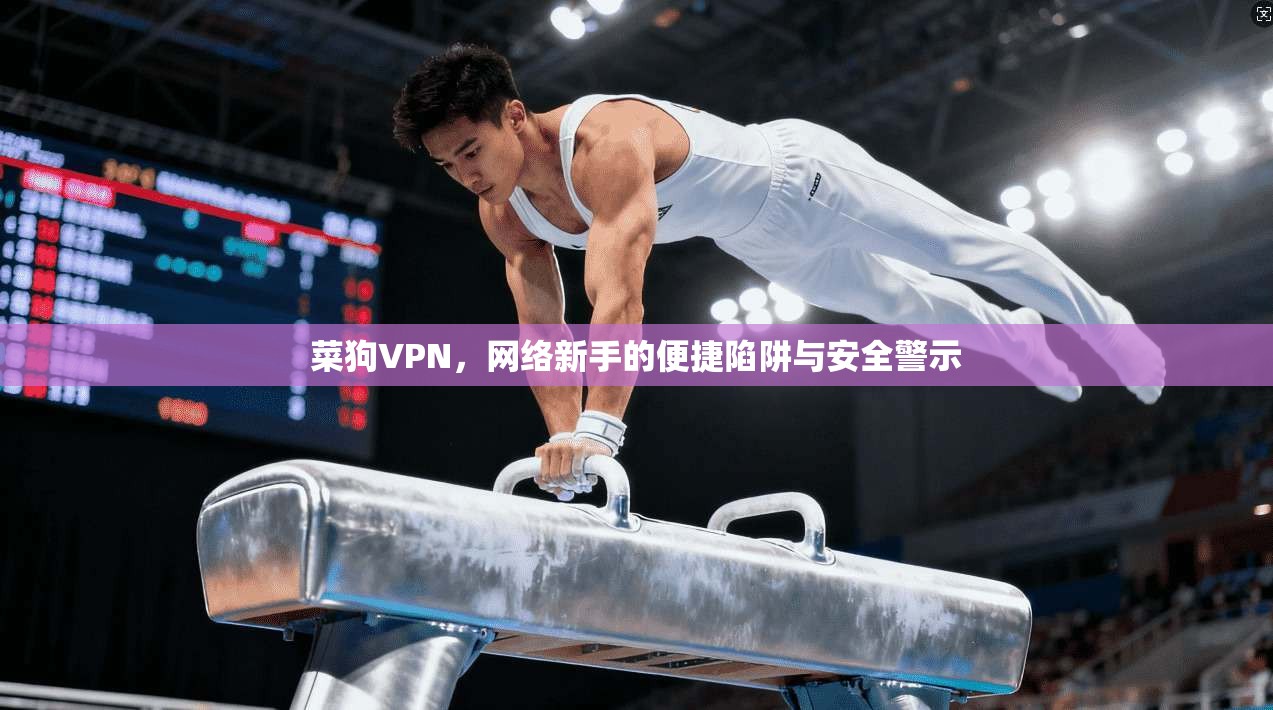 菜狗VPN，网络新手的便捷陷阱与安全警示