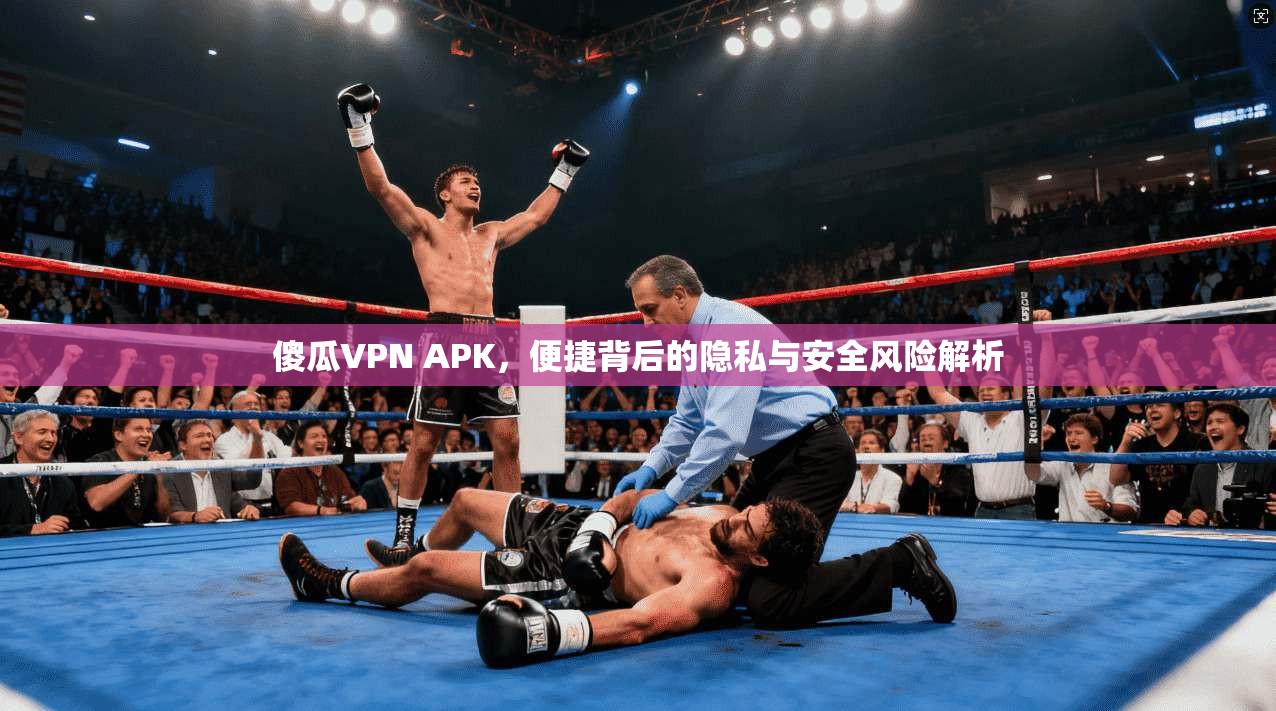 傻瓜VPN APK，便捷背后的隐私与安全风险解析
