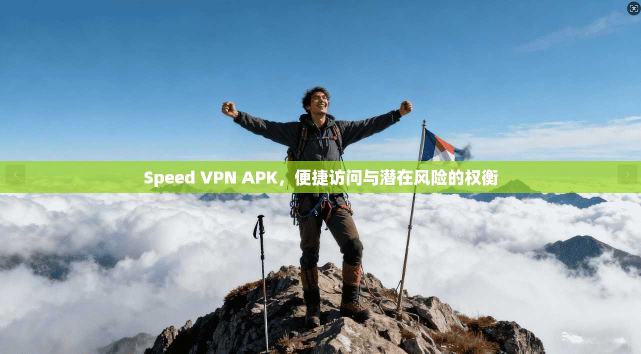 Speed VPN APK，便捷访问与潜在风险的权衡