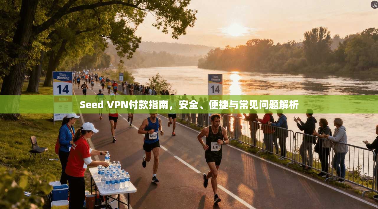 Seed VPN付款指南，安全、便捷与常见问题解析