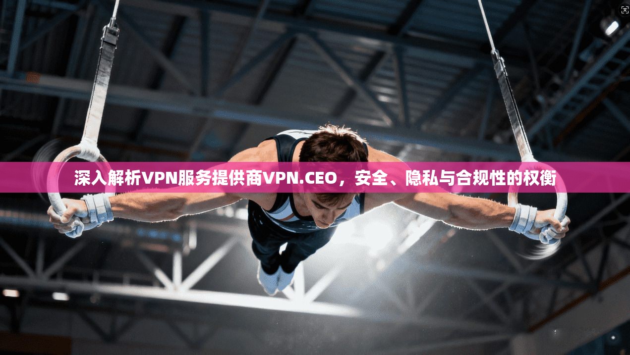 深入解析VPN服务提供商VPN.CEO，安全、隐私与合规性的权衡