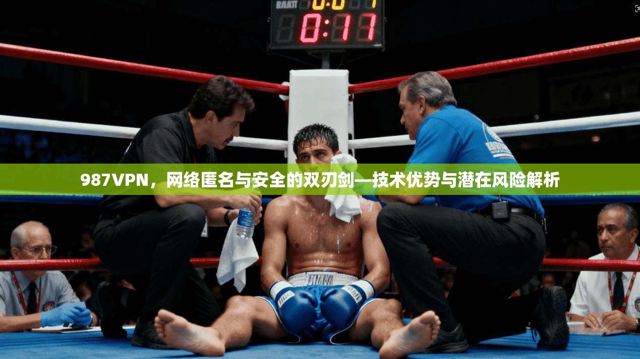 987VPN，网络匿名与安全的双刃剑—技术优势与潜在风险解析