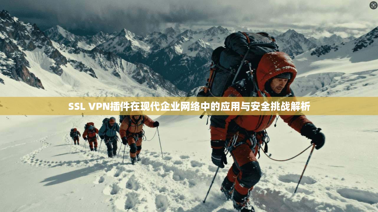 SSL VPN插件在现代企业网络中的应用与安全挑战解析