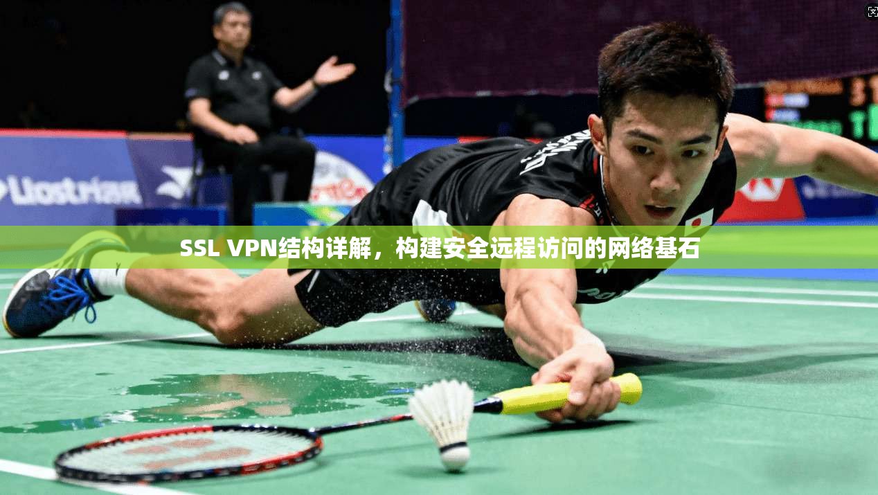 SSL VPN结构详解，构建安全远程访问的网络基石