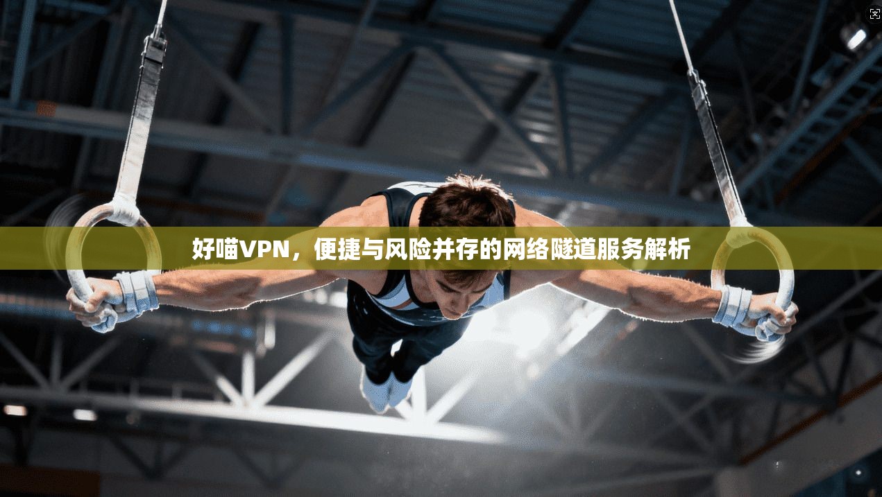 好喵VPN，便捷与风险并存的网络隧道服务解析