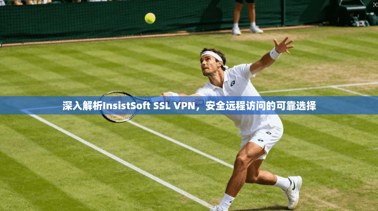 深入解析InsistSoft SSL VPN,安全远程访问的可靠选择 深入解析InsistSoft SSL VPN,安全远程访问的可靠选择