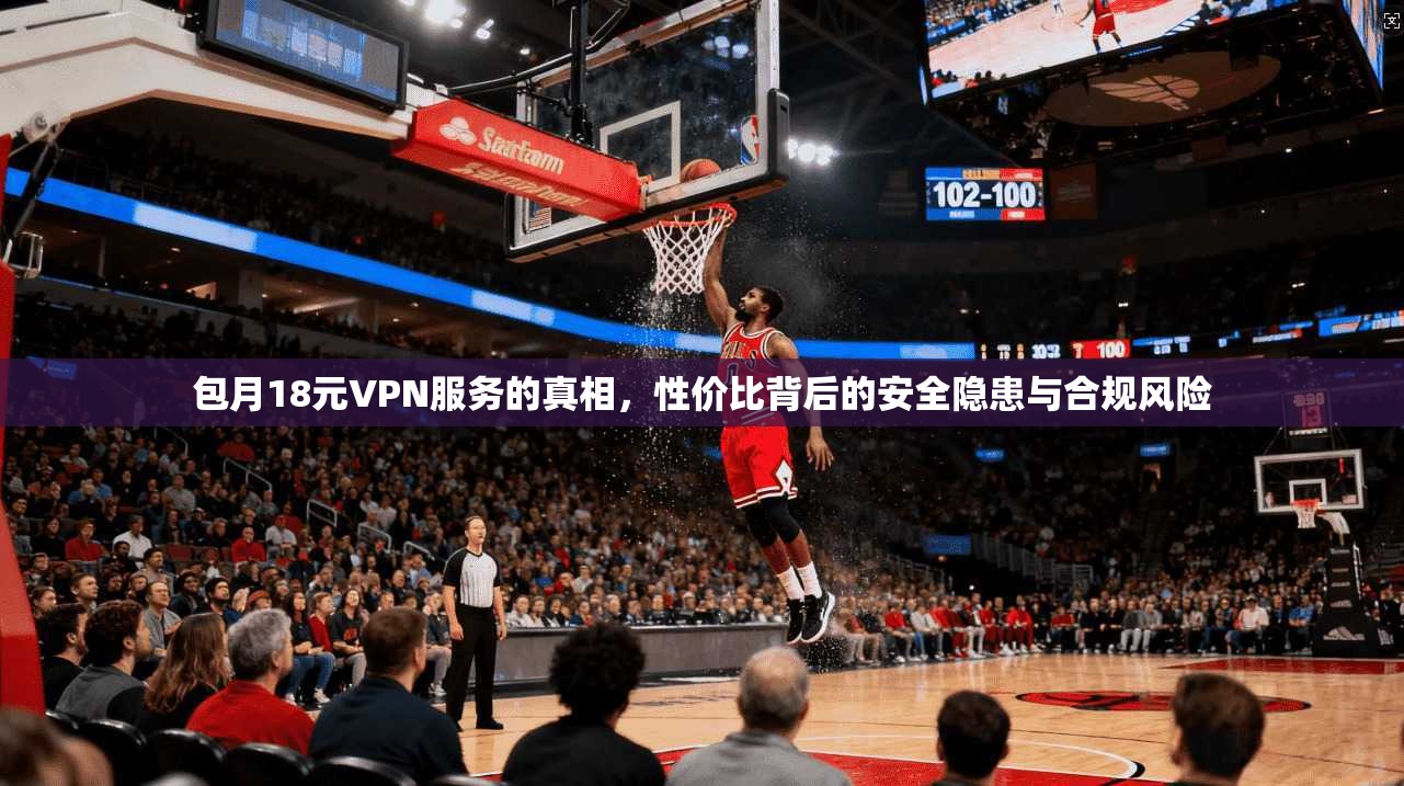 包月18元VPN服务的真相，性价比背后的安全隐患与合规风险