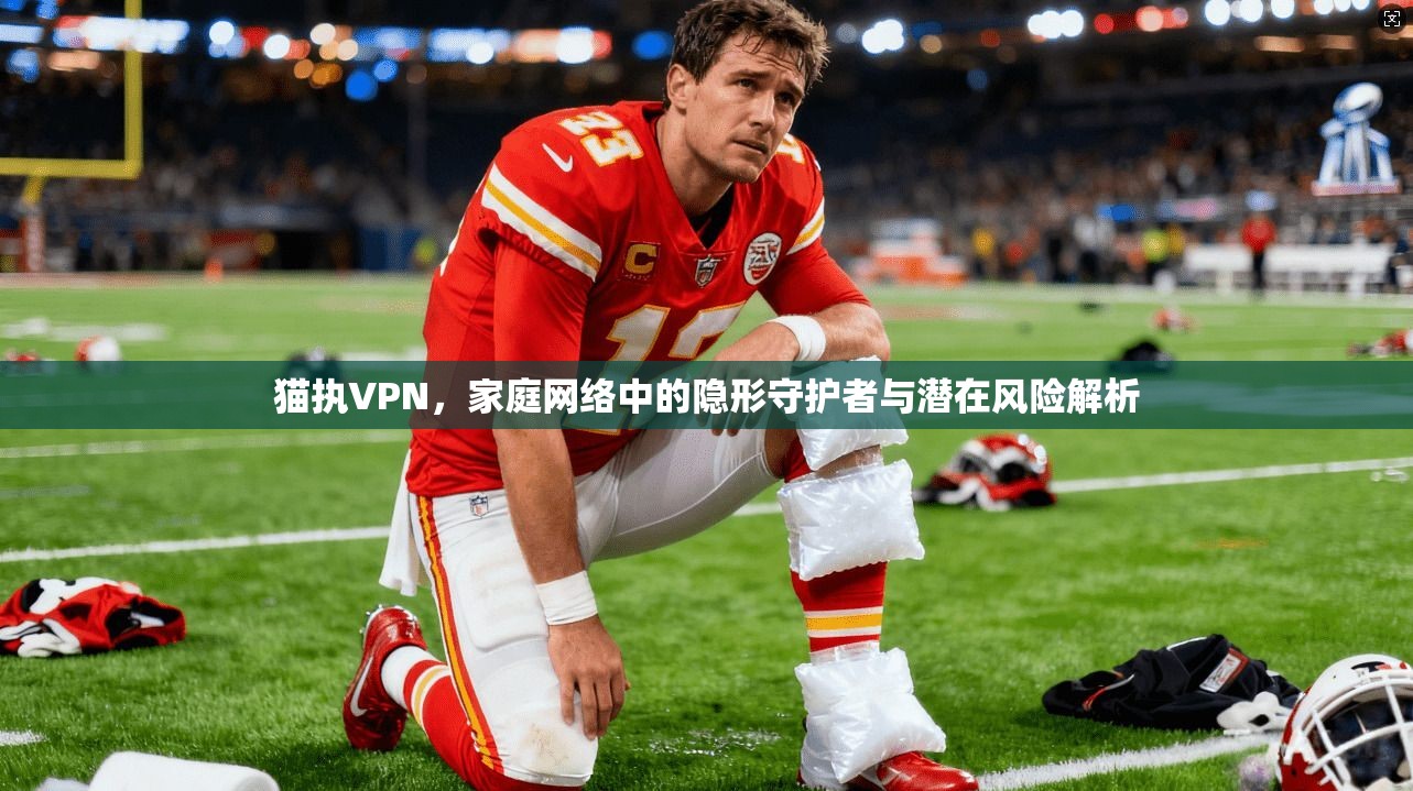 猫执VPN，家庭网络中的隐形守护者与潜在风险解析