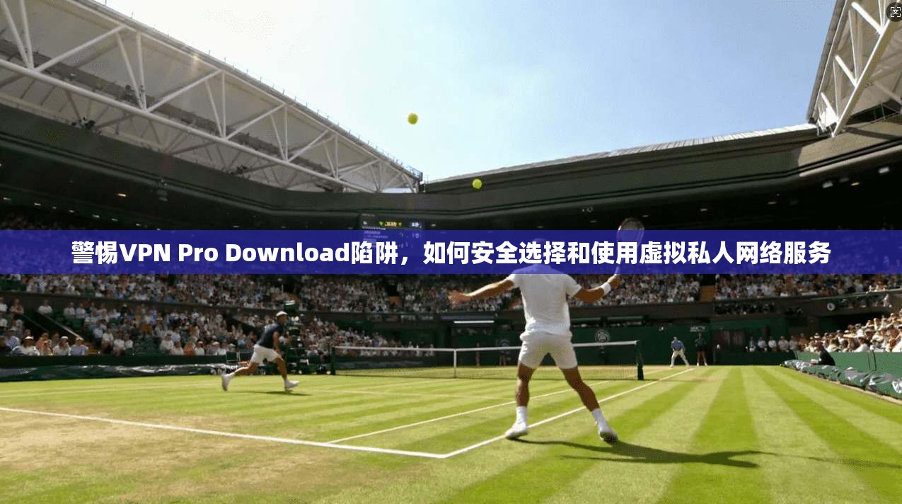 警惕VPN Pro Download陷阱，如何安全选择和使用虚拟私人网络服务
