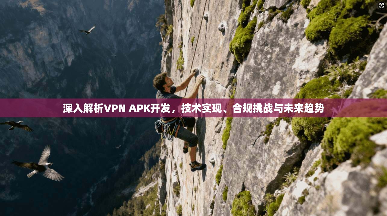 深入解析VPN APK开发，技术实现、合规挑战与未来趋势