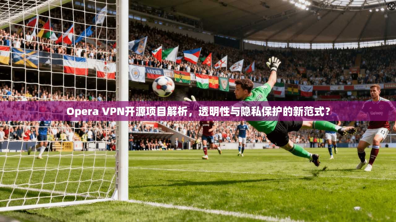 Opera VPN开源项目解析，透明性与隐私保护的新范式？