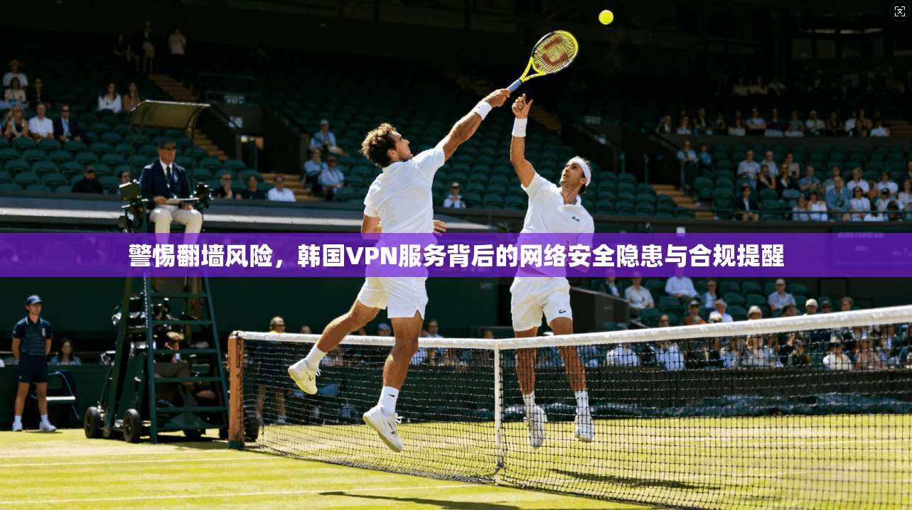 警惕翻墙风险，韩国VPN服务背后的网络安全隐患与合规提醒