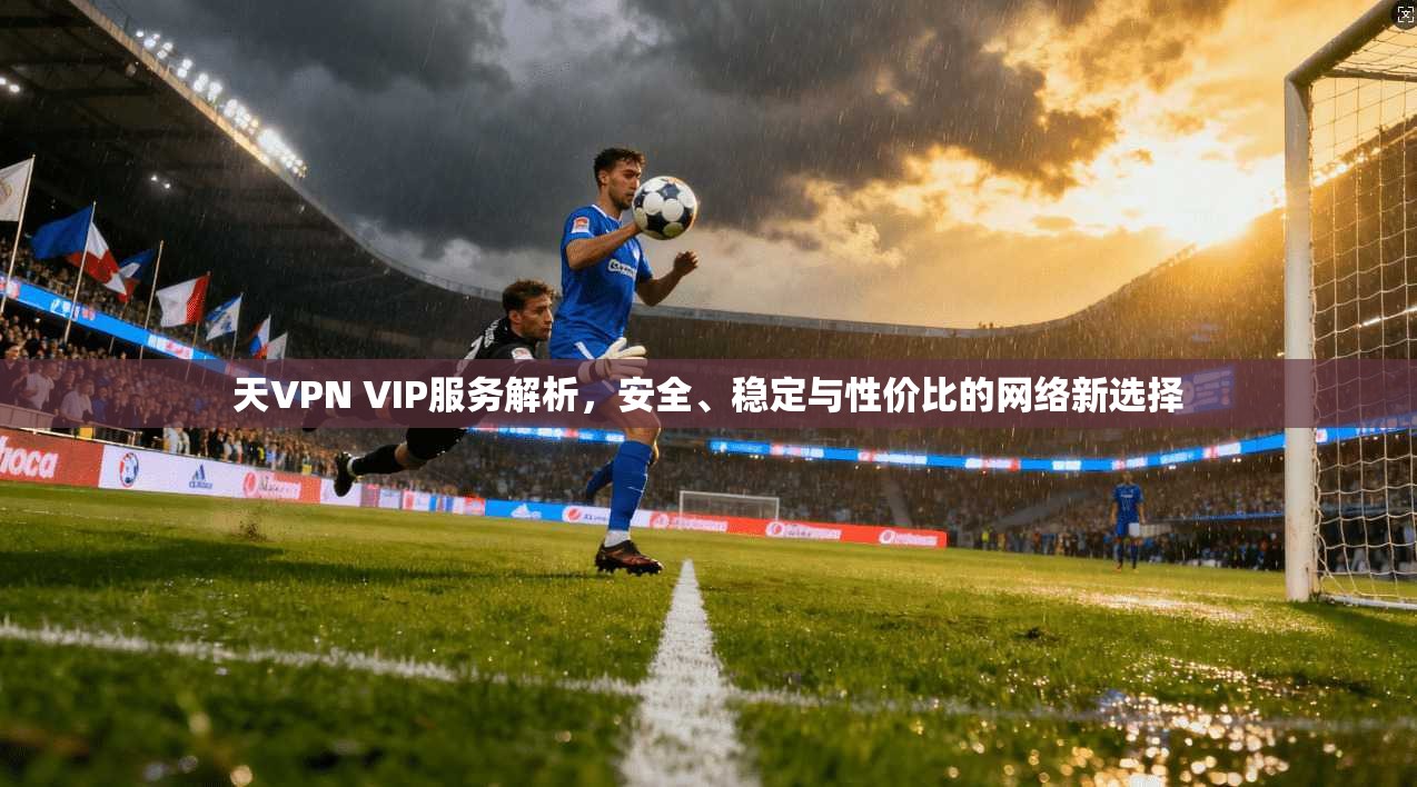 天VPN VIP服务解析，安全、稳定与性价比的网络新选择