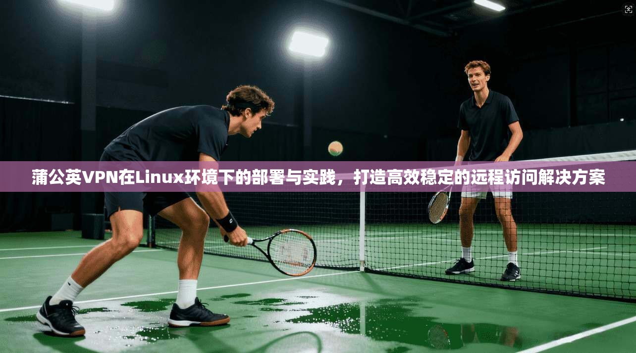 蒲公英VPN在Linux环境下的部署与实践，打造高效稳定的远程访问解决方案