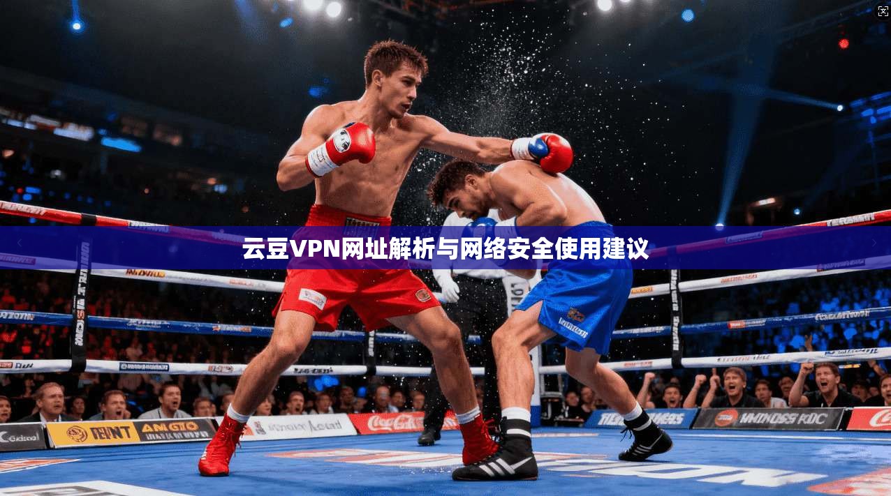 云豆VPN网址解析与网络安全使用建议