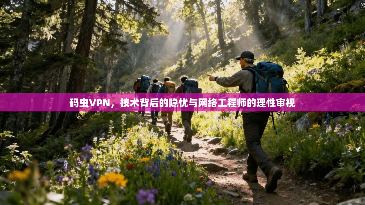 码虫VPN，技术背后的隐忧与网络工程师的理性审视