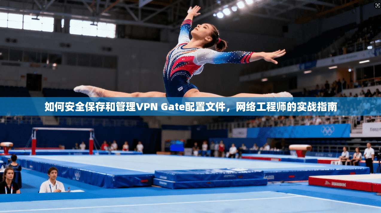 如何安全保存和管理VPN Gate配置文件，网络工程师的实战指南