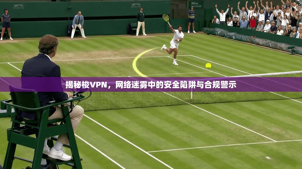 揭秘梭VPN，网络迷雾中的安全陷阱与合规警示