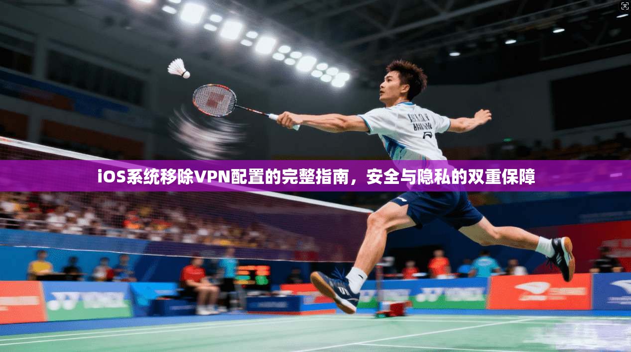 iOS系统移除VPN配置的完整指南，安全与隐私的双重保障